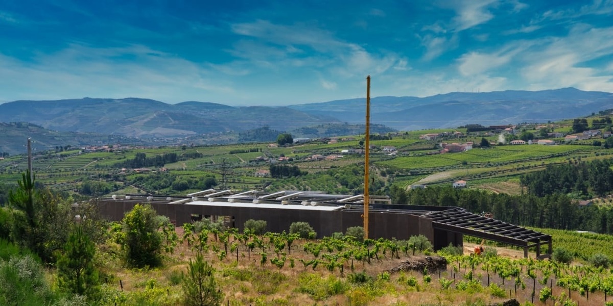 In the new winery of Lavradores de Feitoria 