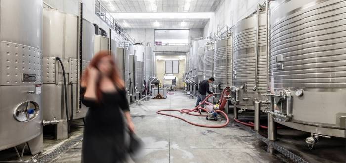 ADEGA QUINTA DA GAIVOSA