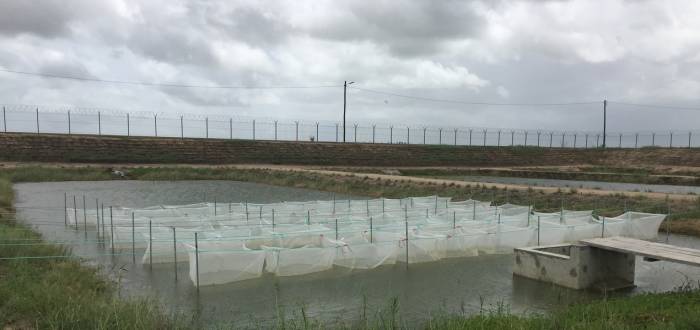 CENTRO DE AQUACULTURA DO CHOKWÉ
