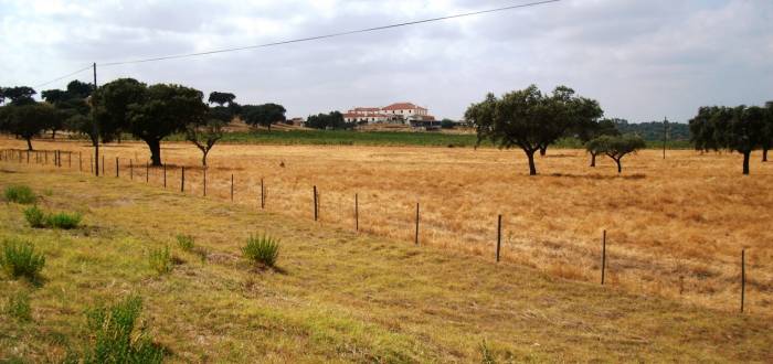 MASTERPLAN E PLANO DE PORMENOR DA HERDADE DA PALHETA