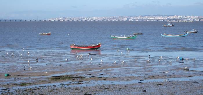 REVISÃO DO PLANO DIRETOR MUNICIPAL DE ALCOCHETE